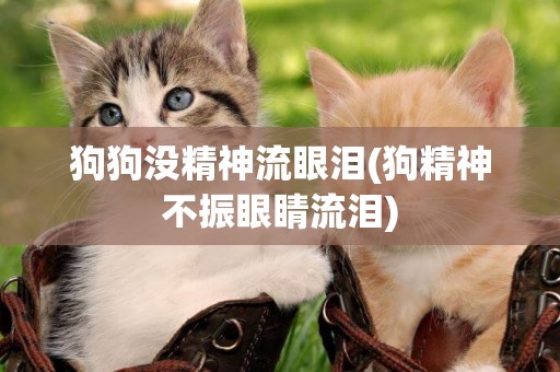 狗狗沒精神流眼淚(狗精神不振眼睛流淚)