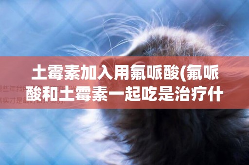 土霉素加入用氟哌酸(氟哌酸和土霉素一起吃是治療什么的)