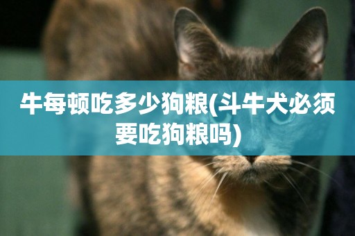 牛每頓吃多少狗糧(斗牛犬必須要吃狗糧嗎)