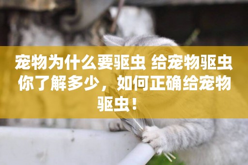 寵物為什么要驅蟲 給寵物驅蟲你了解多少，如何正確給寵物驅蟲！ 