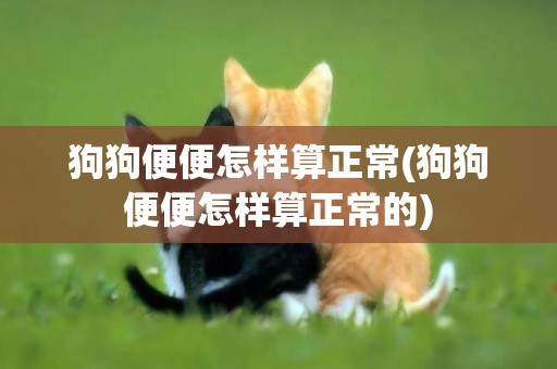 狗狗便便怎樣算正常(狗狗便便怎樣算正常的)