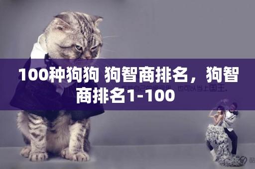 100種狗狗 狗智商排名，狗智商排名1-100 