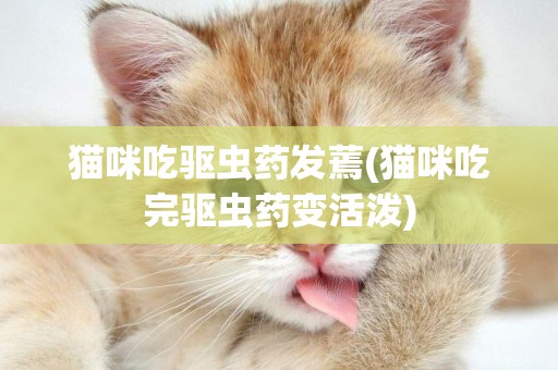 貓咪吃驅蟲藥發蔫(貓咪吃完驅蟲藥變活潑)