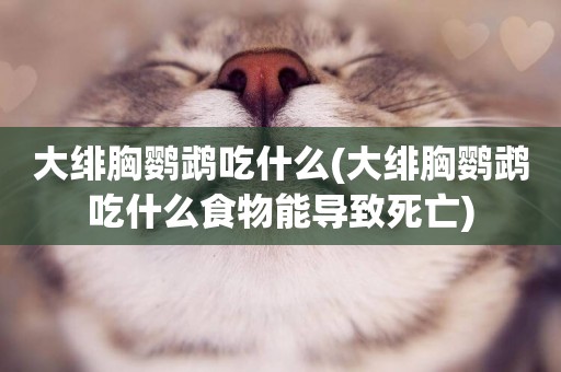 大緋胸鸚鵡吃什么(大緋胸鸚鵡吃什么食物能導致死亡)