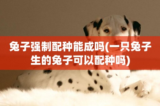 兔子強制配種能成嗎(一只兔子生的兔子可以配種嗎)