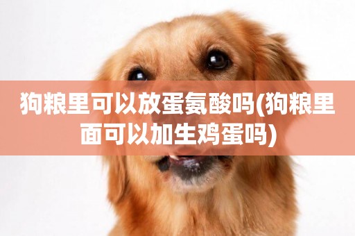 狗糧里可以放蛋氨酸嗎(狗糧里面可以加生雞蛋嗎)