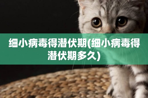 細小病毒得潛伏期(細小病毒得潛伏期多久)