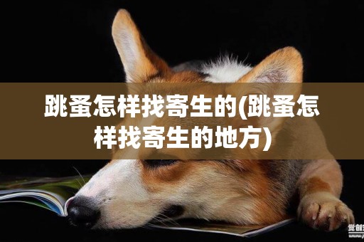 跳蚤怎樣找寄生的(跳蚤怎樣找寄生的地方)