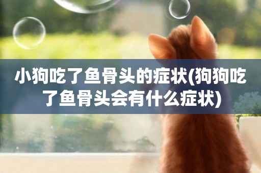 小狗吃了魚骨頭的癥狀(狗狗吃了魚骨頭會有什么癥狀)