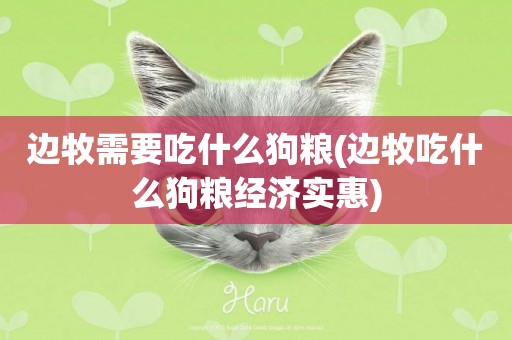 邊牧需要吃什么狗糧(邊牧吃什么狗糧經濟實惠)