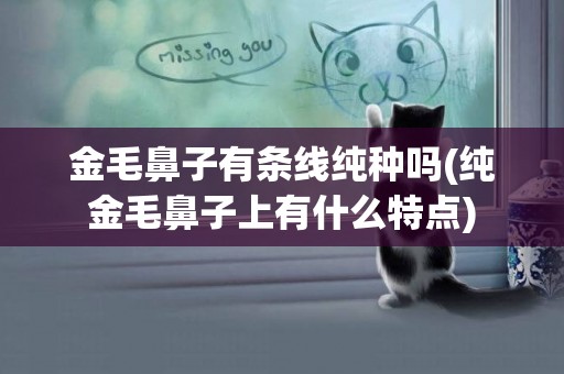 金毛鼻子有條線純種嗎(純金毛鼻子上有什么特點)