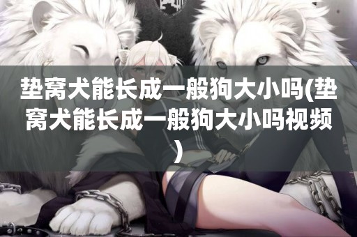 墊窩犬能長成一般狗大小嗎(墊窩犬能長成一般狗大小嗎視頻)