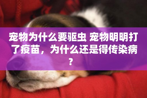寵物為什么要驅蟲 寵物明明打了疫苗，為什么還是得傳染病？ 
