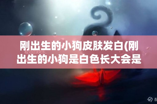 剛出生的小狗皮膚發白(剛出生的小狗是白色長大會是什么的)
