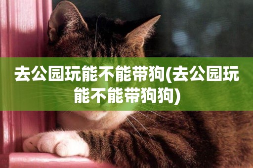 去公園玩能不能帶狗(去公園玩能不能帶狗狗)