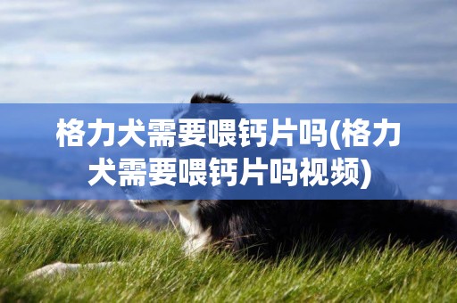 格力犬需要喂鈣片嗎(格力犬需要喂鈣片嗎視頻)