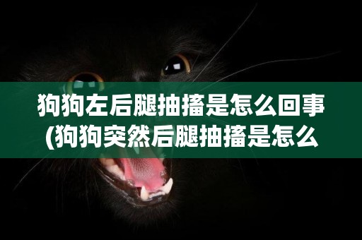 狗狗左后腿抽搐是怎么回事(狗狗突然后腿抽搐是怎么回事)