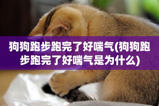 狗狗跑步跑完了好喘氣(狗狗跑步跑完了好喘氣是為什么)