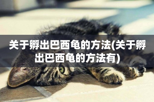 關于孵出巴西龜的方法(關于孵出巴西龜的方法有)