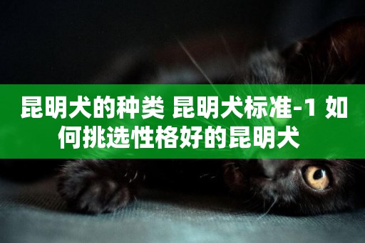 昆明犬的種類 昆明犬標準-1 如何挑選性格好的昆明犬 