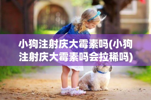小狗注射慶大霉素嗎(小狗注射慶大霉素嗎會拉稀嗎)