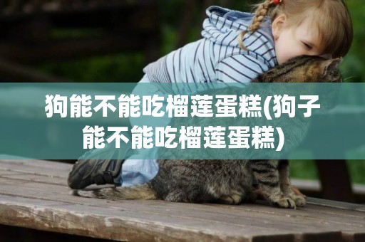 狗能不能吃榴蓮蛋糕(狗子能不能吃榴蓮蛋糕)