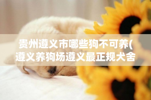 貴州遵義市哪些狗不可養(遵義養狗場遵義最正規犬舍)