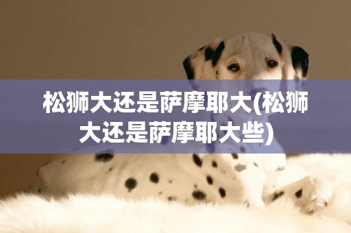 松獅大還是薩摩耶大(松獅大還是薩摩耶大些)