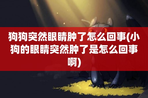 狗狗突然眼睛腫了怎么回事(小狗的眼睛突然腫了是怎么回事啊)
