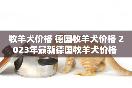 牧羊犬價格 德國牧羊犬價格 2023年最新德國牧羊犬價格 