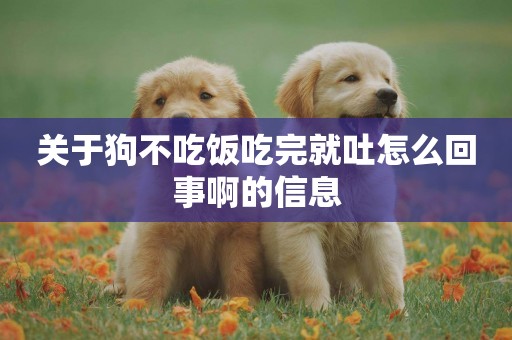 關于狗不吃飯吃完就吐怎么回事啊的信息