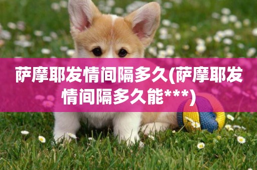 薩摩耶發情間隔多久(薩摩耶發情間隔多久能***)