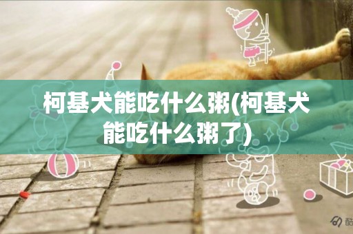 柯基犬能吃什么粥(柯基犬能吃什么粥了)