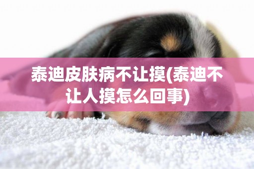 泰迪皮膚病不讓摸(泰迪不讓人摸怎么回事)