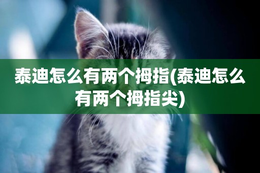 泰迪怎么有兩個拇指(泰迪怎么有兩個拇指尖)