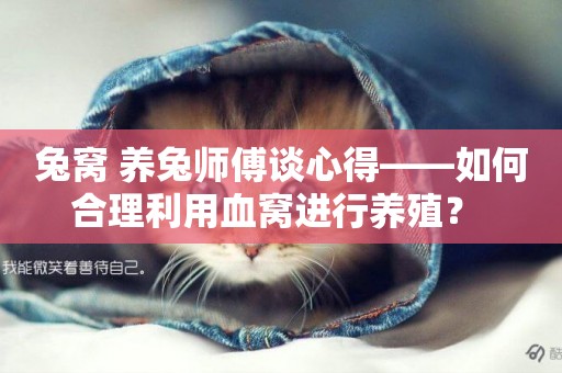 兔窩 養兔師傅談心得——如何合理利用血窩進行養殖？ 