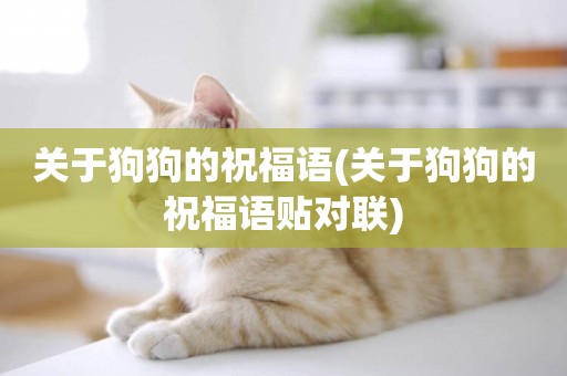 關于狗狗的祝福語(關于狗狗的祝福語貼對聯)