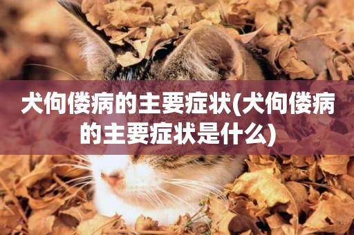 犬佝僂病的主要癥狀(犬佝僂病的主要癥狀是什么)
