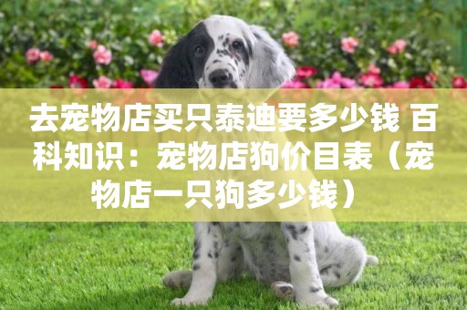 去寵物店買只泰迪要多少錢 百科知識：寵物店狗價目表（寵物店一只狗多少錢） 