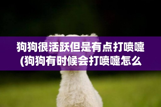 狗狗很活躍但是有點打噴嚏(狗狗有時候會打噴嚏怎么回事)
