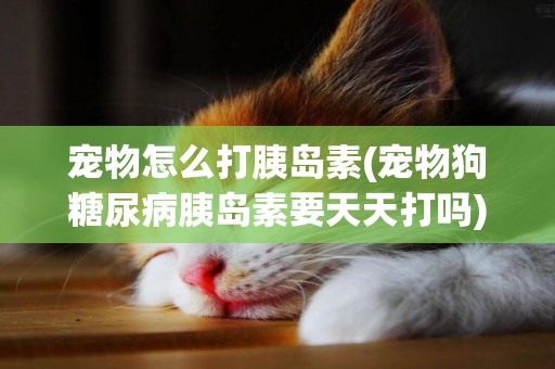 寵物怎么打胰島素(寵物狗糖尿病胰島素要天天打嗎)