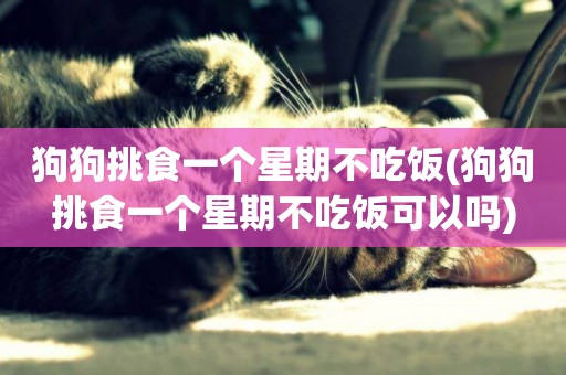 狗狗挑食一個星期不吃飯(狗狗挑食一個星期不吃飯可以嗎)