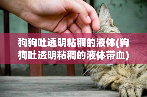 狗狗吐透明粘稠的液體(狗狗吐透明粘稠的液體帶血)