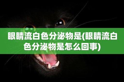 眼睛流白色分泌物是(眼睛流白色分泌物是怎么回事)
