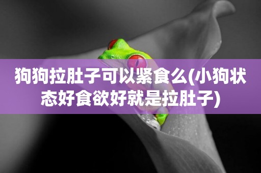 狗狗拉肚子可以緊食么(小狗狀態好食欲好就是拉肚子)