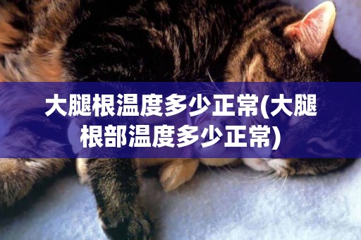 大腿根溫度多少正常(大腿根部溫度多少正常)