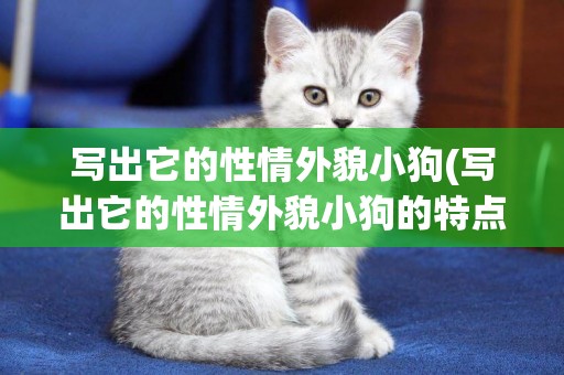 寫出它的性情外貌小狗(寫出它的性情外貌小狗的特點)