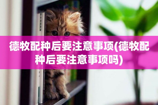 德牧配種后要注意事項(德牧配種后要注意事項嗎)