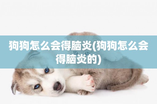 狗狗怎么會得腦炎(狗狗怎么會得腦炎的)