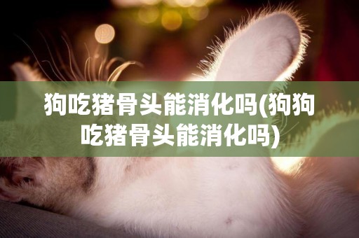 狗吃豬骨頭能消化嗎(狗狗吃豬骨頭能消化嗎)